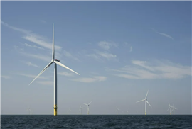 Digital image of offshore wind turbines