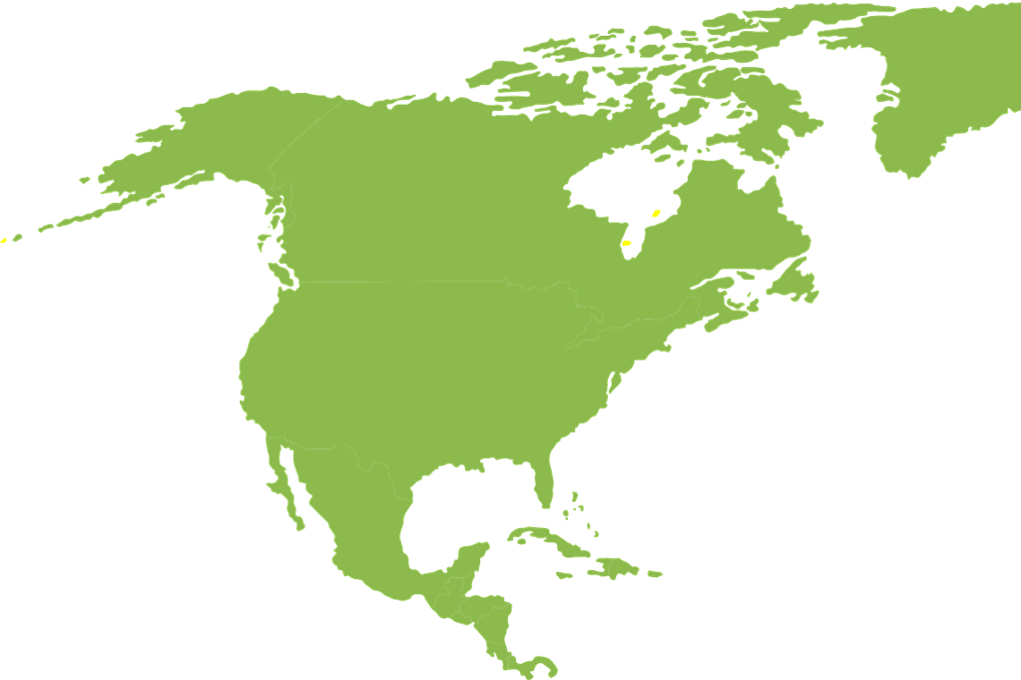 South america артикль